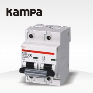 NC100H-2P-Miniature-Circuit-Breaker